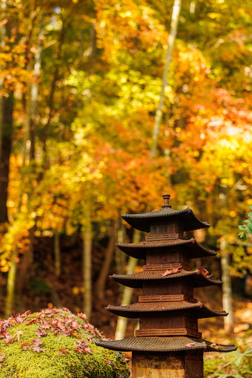松島の円通院に佇むミニ五重塔と秋の紅葉-宮城県の寺院風景
