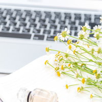 黄色い小花とMacbookが並ぶ清潔感のあるデスクの写真