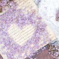 ラブレターを縁取るライラックの花とレースの写真