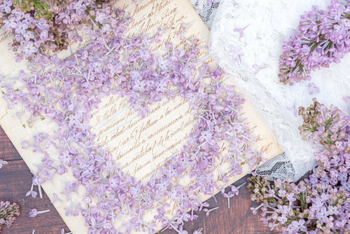 ラブレターを縁取るライラックの花とレース
