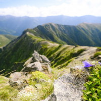 塩見岳の山頂から見る南アルプス北部の山稜と登山道の写真