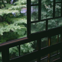 格子窓の枠合わせから見える緑の庭園の眺めの写真