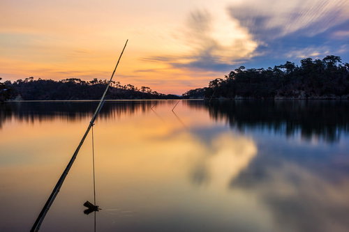 朝焼けに染まる松島の湾、夜明けの釣り竿のシルエット
