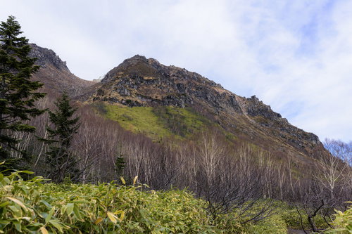 焼岳山頂を目指す登山道の新緑と岩山の風景