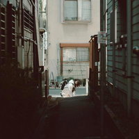 通学路で何かを拾おうとしてかがみ込む女子高生の写真