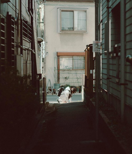 通学路で何かを拾おうとしてかがみ込む女子高生