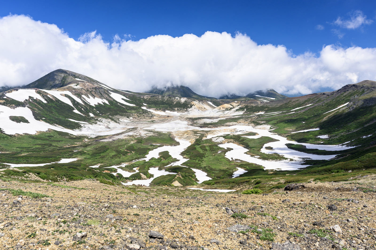 青空の下に残雪を抱いた山々と緑の高原が広がる雲ノ平の風景