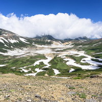 晴れ渡った雲ノ平の残雪と高山の連なり、高山植物の芽吹きの写真