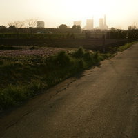 暮れる見沼田んぼの一日、田んぼ道から見た夕暮れの写真