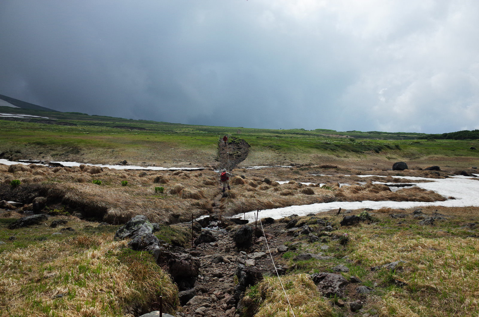 曇り空の下、緑の草原が広がる山道を歩く登山者の後ろ姿