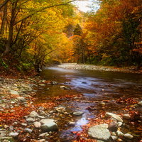 真木渓谷の紅葉、秋田県大仙市の清流沿いの秋景色の写真
