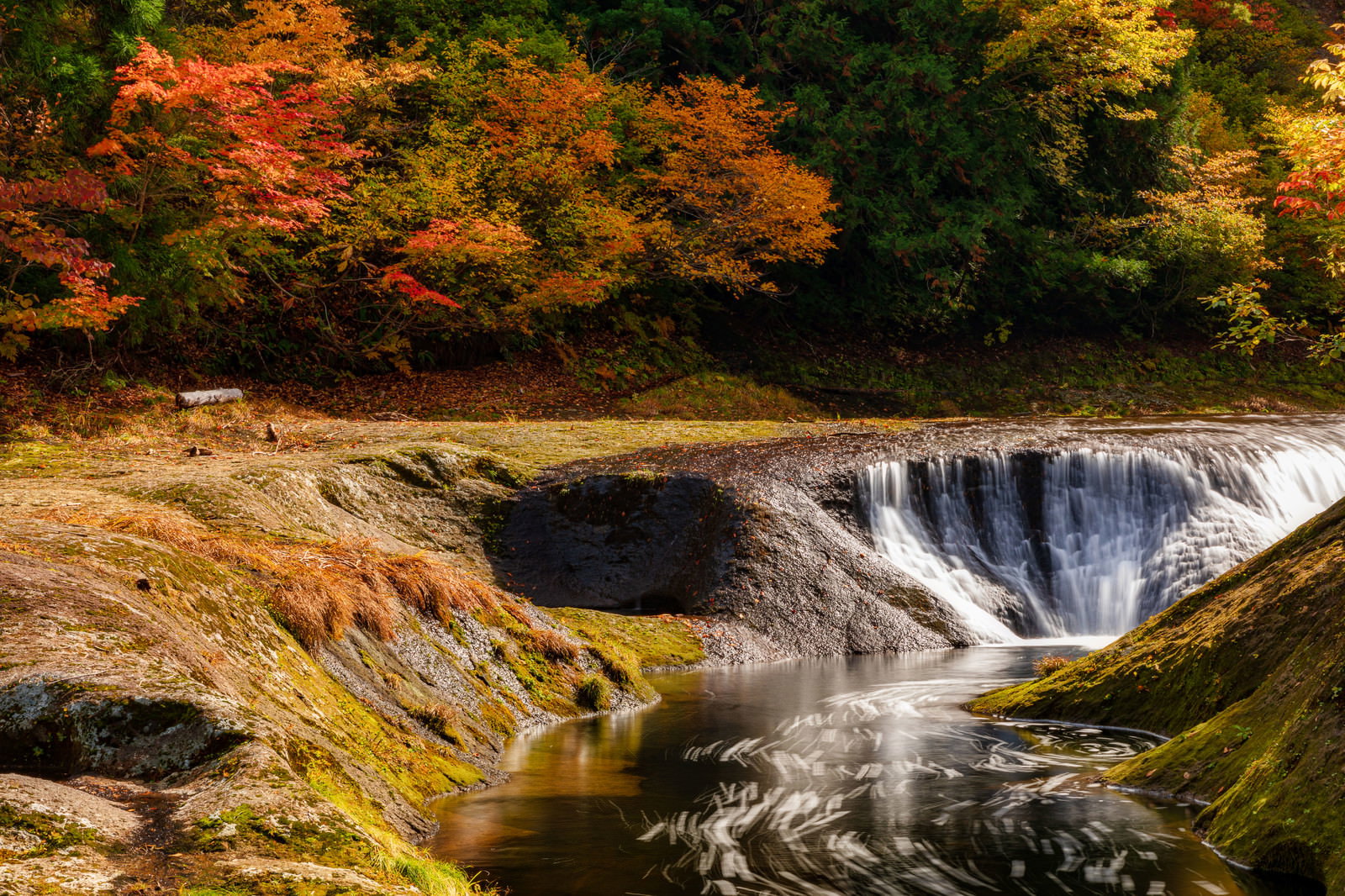 秋田県北秋田市の小又峡で紅葉した木々と渓流が見える秋の風景