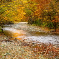 秋田県大仙市の真木渓谷で紅葉に囲まれた秋の渓流の写真