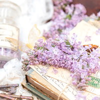 古い葉書と洋書の上に置かれたライラックと白いレースの写真