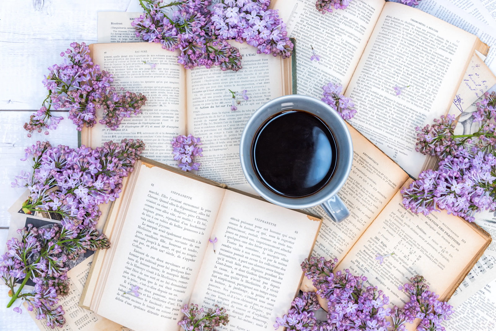ライラックの花に囲まれ洋書の上に置かれた珈琲カップ