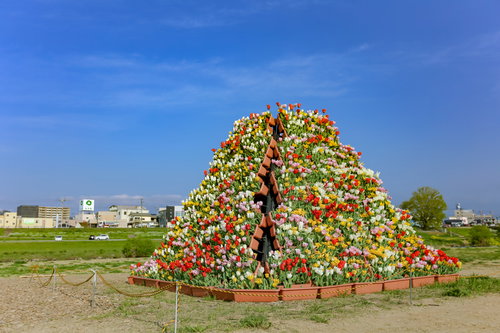 福岡県直方市のチューリップフェアで見る満開のチューリップタワー