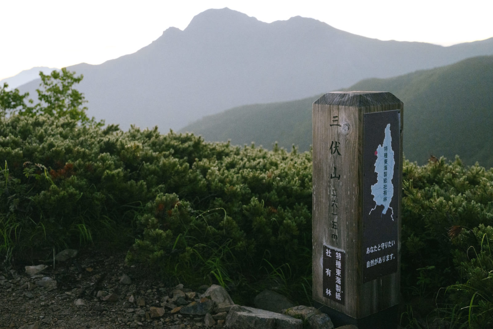 塩見岳を背景に、低い灌木が生い茂る登山道に立つ木製の案内標識
