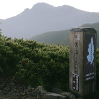 南アルプス塩見岳を眺める三伏山の登山道と高山植物の写真