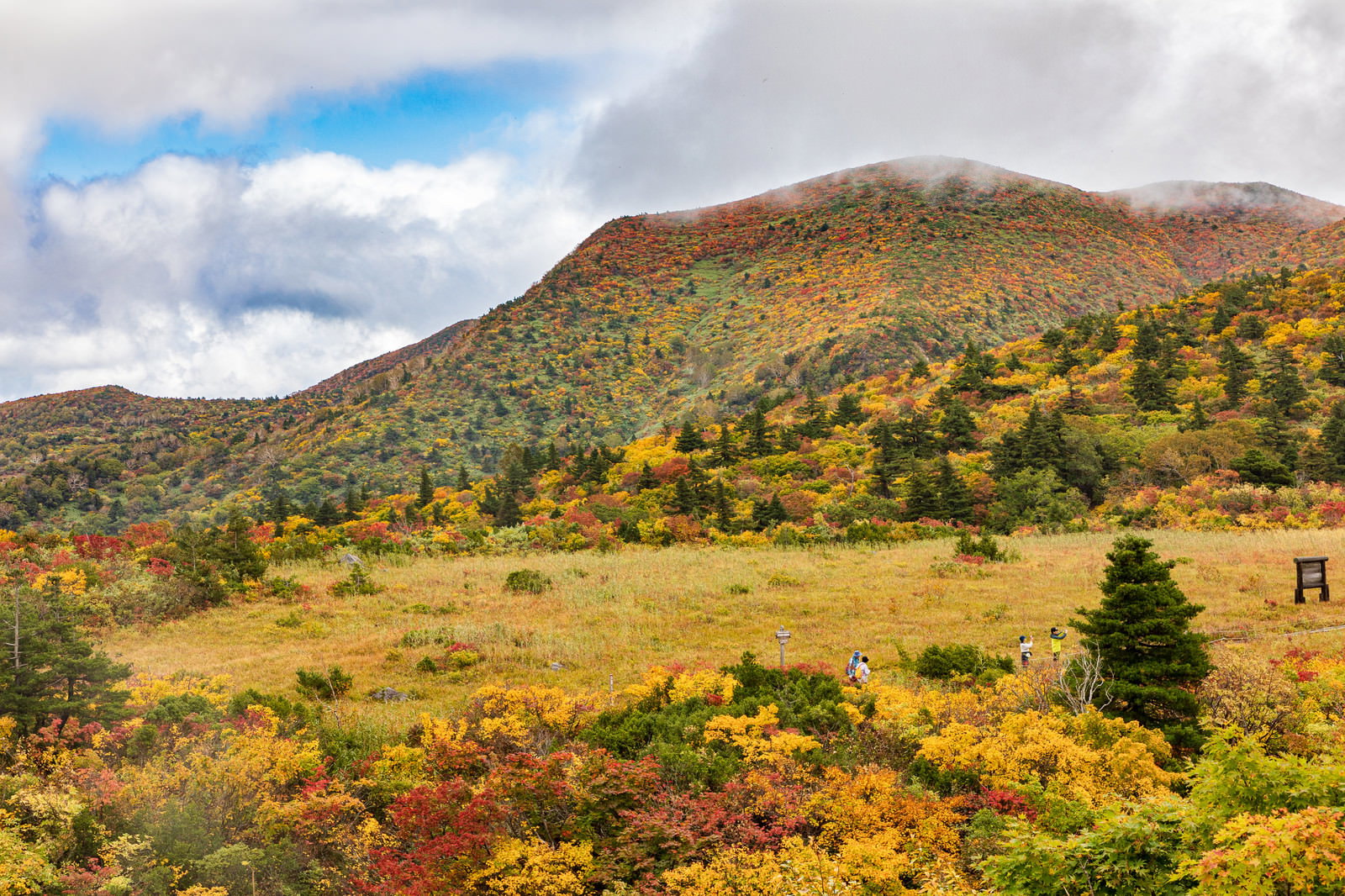 紅葉で色づいた栗駒山の山道を歩く登山客の様子