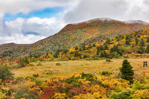 秋の紅葉に染まる栗駒山を上る登山客