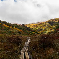 色付き始めた山へと続く秋の朽ちた木道を歩く登山道の写真