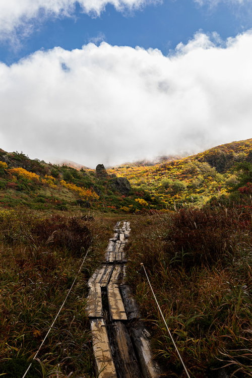 色付き始めた山へと続く秋の朽ちた木道を歩く登山道