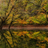 秋の廻戸川に映り込む紅葉した木々の水鏡・岩手県西和賀町の写真