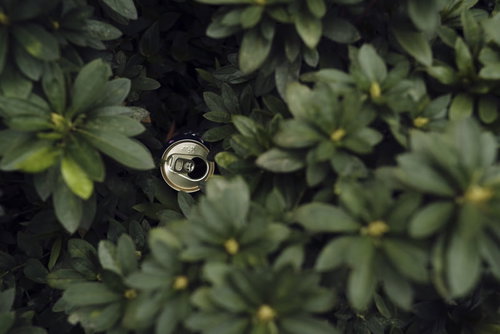 緑の植込みに捨てられた空き缶のポイ捨て現場