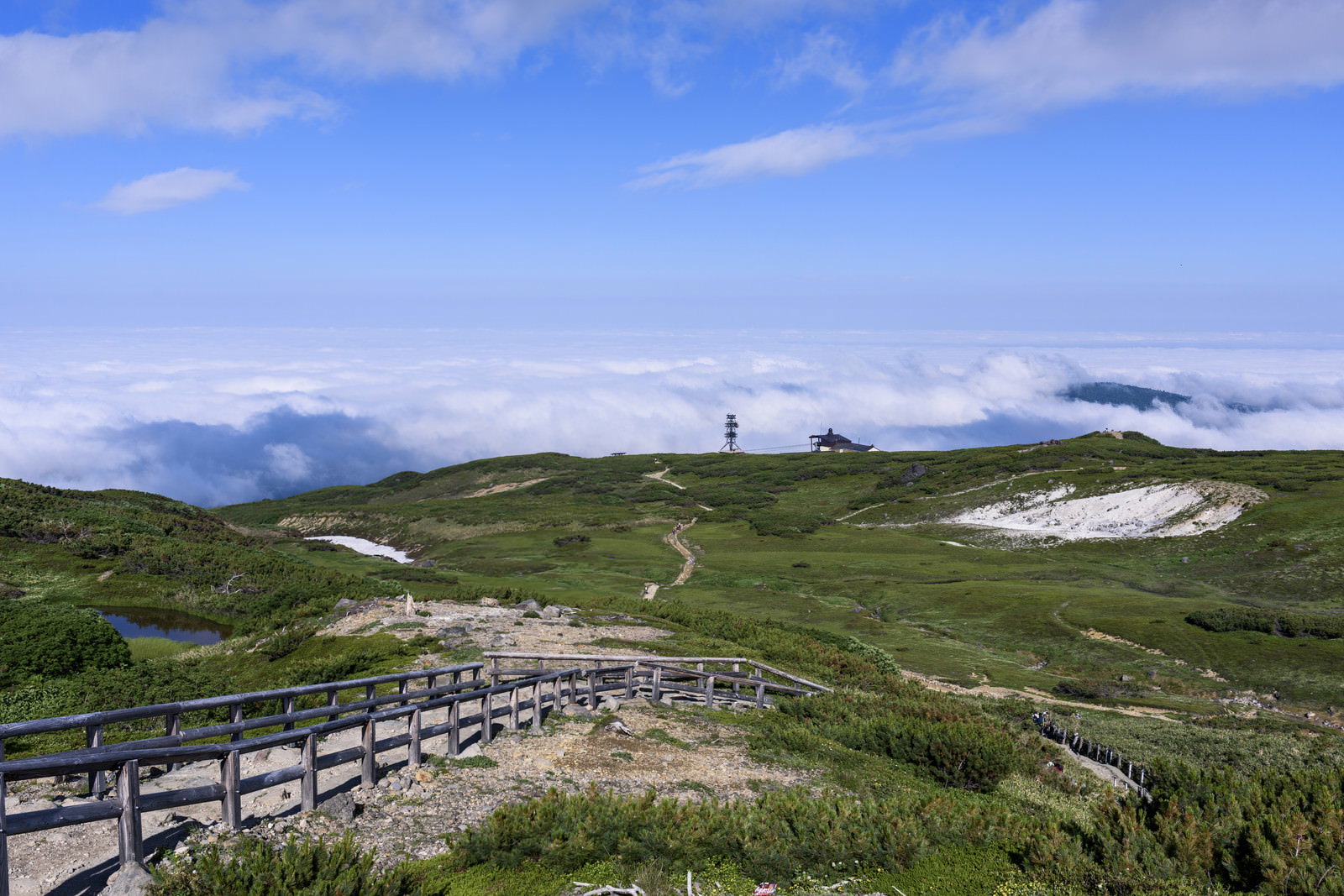 雲海に包まれた姿見の池園地の木道と大雪山連峰の山岳風景