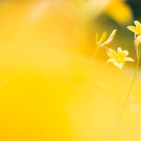 滝の裏側から見上げる岩と水しぶきの写真