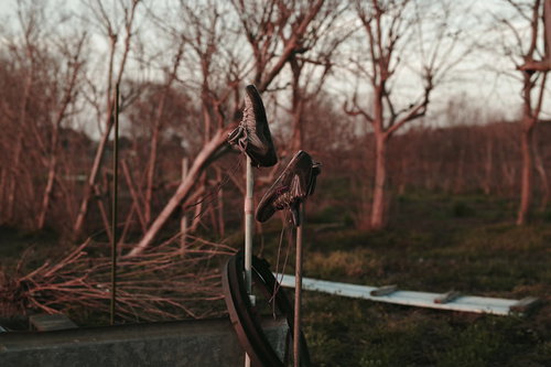 畑に日干しされたスニーカーの風景