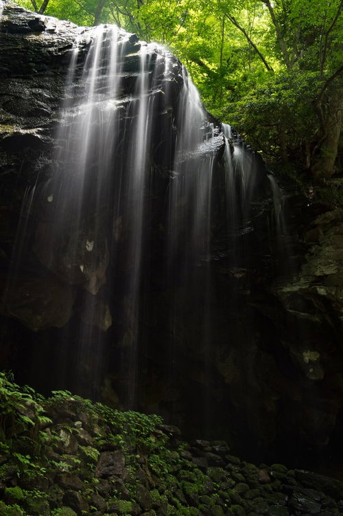裏見の滝とも呼ばれる岩井滝と新緑