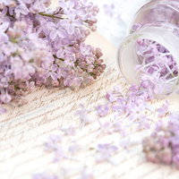 手紙の上に散りばむ淡紫色のライラックの花束の写真