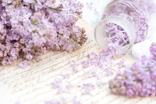 手紙の上に散りばむ淡紫色のライラックの花束