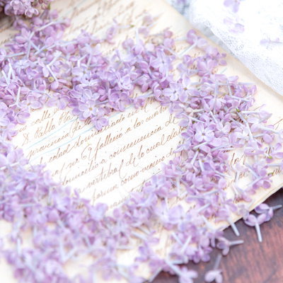 ライラックの花が形作るハートとラブレターの写真