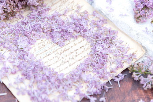 ライラックの花が形作るハートとラブレター