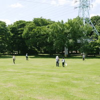 緑豊かな公園の芝生広場で過ごす人々の休日風景の写真