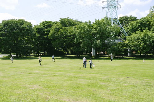 緑豊かな公園の芝生広場で過ごす人々の休日風景