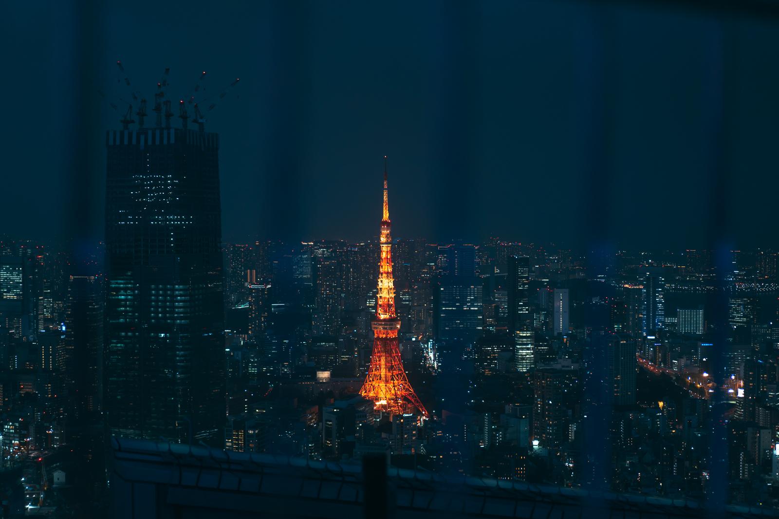 赤くライトアップされた東京タワーが夜の都市景観の中央に聳える
