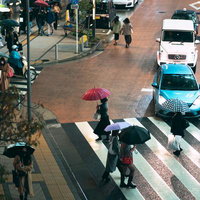 雨の都市の交差点で傘をさす横断歩道の歩行者たちの写真