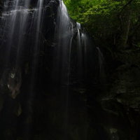 岡山県鏡野町の裏見の滝・岩井滝、新緑の森を流れ落ちる清流の写真