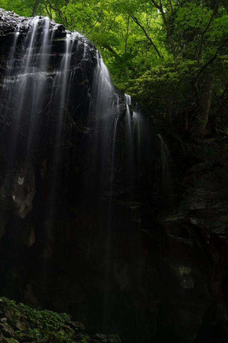 深い森に囲まれた岩井滝、新緑の中を流れ落ちる清流