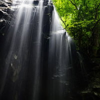 初夏の岩井滝と新緑に覆われた森の写真
