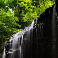 初夏の新緑に包まれた岩井滝（岡山県鏡野町）の写真