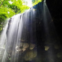 岡山県鏡野町の岩井滝に差し込む木漏れ日と新緑の写真
