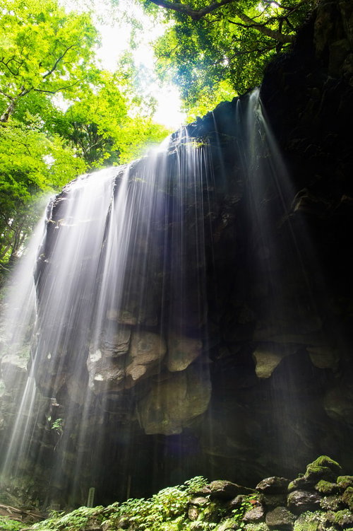岡山県鏡野町の岩井滝に差し込む木漏れ日と新緑