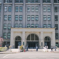 春の桜が咲く財務省本庁舎正面の写真