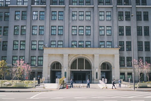 春の桜が咲く財務省本庁舎正面