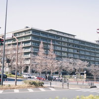 交差点から見た霞が関の外務省庁舎の写真