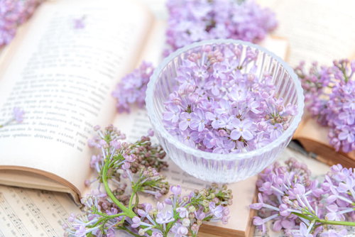透明なガラス器に盛ったライラックと開いた本